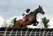 26 April 2022; Instit, with Danny Mullins up, jumps the last in the Howden Insurance Brokers Mares Novice Hurdle during the Punchestown Festival Champion Chase Day in Punchestown Racecourse, Kildare. Photo by David Fitzgerald/Sportsfile