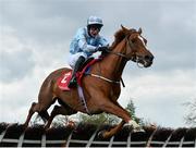 26 April 2022; Lunar Display, with JJ Slevin up, jumps the last in the Howden Insurance Brokers Mares Novice Hurdle during the Punchestown Festival Champion Chase Day in Punchestown Racecourse, Kildare. Photo by David Fitzgerald/Sportsfile