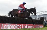 27 April 2022; Allaho, with Paul Townend up, jumps the last during the first circuit on their way to winning the Ladbrokes Punchestown Gold Cup on day two of the Punchestown Festival at Punchestown Racecourse in Kildare. Photo by Seb Daly/Sportsfile