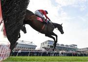 27 April 2022; Allaho, with Paul Townend up, jumps the last during the first circuit on their way to winning the Ladbrokes Punchestown Gold Cup on day two of the Punchestown Festival at Punchestown Racecourse in Kildare. Photo by Seb Daly/Sportsfile