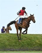 28 April 2022; Clonguile Way, with Aex Harvey up, jumps Ruby's Double during the Mongey Communications La Touche Cup Cross Country Steeplechase on day three of the Punchestown Festival at Punchestown Racecourse in Kildare. Photo by Seb Daly/Sportsfile