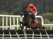 28 April 2022; Klassical Dream, with Paul Townend up, jumps the last on their way to winning the Ladbrokes Champion Stayers Hurdle Steeplechase during day three of the Punchestown Festival at Punchestown Racecourse in Kildare. Photo by Seb Daly/Sportsfile