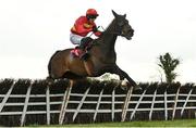 28 April 2022; Klassical Dream, with Paul Townend up, jumps the last on their way to winning the Ladbrokes Champion Stayers Hurdle Steeplechase during day three of the Punchestown Festival at Punchestown Racecourse in Kildare. Photo by Seb Daly/Sportsfile