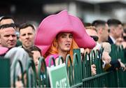 29 April 2022; Racegoers look on during the Stanley Asphalt Hunters Steeplechase during day four of the Punchestown Festival at Punchestown Racecourse in Kildare. Photo by David Fitzgerald/Sportsfile