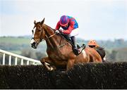 29 April 2022; Jezarus, with Ian Cribbin up, jumps the last on their way to winning the Stanley Asphalt Hunters Steeplechase during day four of the Punchestown Festival at Punchestown Racecourse in Kildare. Photo by David Fitzgerald/Sportsfile