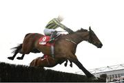 29 April 2022; Busselton, with JJ Slevin up, clears the last during the EMS Copiers Novice Handicap Steeplechase during day four of the Punchestown Festival at Punchestown Racecourse in Kildare. Photo by David Fitzgerald/Sportsfile