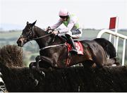29 April 2022; El Barra, with Jack Foley up, jumps the last on their way to winning the EMS Copiers Novice Handicap Steeplechase during day four of the Punchestown Festival at Punchestown Racecourse in Kildare. Photo by David Fitzgerald/Sportsfile