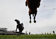29 April 2022; Runners and riders clear the last during the Hanlon Concrete Irish EBF Glencarraig Lady Francis Flood Mares Steeplechase during day four of the Punchestown Festival at Punchestown Racecourse in Kildare. Photo by David Fitzgerald/Sportsfile