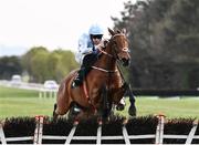 29 April 2022; Honeysuckle, with Rachael Blackmore up, jumps the last on their way to winning the Paddy Power Champion Hurdle during day four of the Punchestown Festival at Punchestown Racecourse in Kildare. Photo by David Fitzgerald/Sportsfile