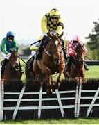 29 April 2022; State Man, with Paul Townend up, jumps the last on their way to winning the Irish Daily Star Champion Hunters Steeplechase during day four of the Punchestown Festival at Punchestown Racecourse in Kildare. Photo by David Fitzgerald/Sportsfile