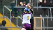 23 April 2022; Wexford goalkeeper Mark Fanning during the Leinster GAA Hurling Senior Championship Round 2 match between Wexford and Dublin at Chadwicks Wexford Park in Wexford. Photo by Eóin Noonan/Sportsfile