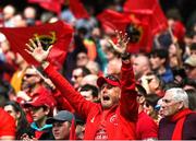 7 May 2022; Munster supporters celebrate a try by Keith Earls during the Heineken Champions Cup Quarter-Final match between Munster and Toulouse at Aviva Stadium in Dublin. Photo by Ramsey Cardy/Sportsfile