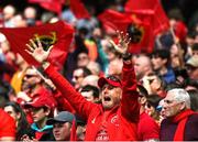 7 May 2022; Munster supporters celebrate a try by Keith Earls during the Heineken Champions Cup Quarter-Final match between Munster and Toulouse at Aviva Stadium in Dublin. Photo by Ramsey Cardy/Sportsfile
