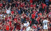7 May 2022; Munster supporters celebrate a second half penalty during the Heineken Champions Cup Quarter-Final match between Munster and Toulouse at Aviva Stadium in Dublin. Photo by Ramsey Cardy/Sportsfile
