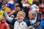 8 May 2022; A Tipperary supporter celebrates a score during the Munster GAA Hurling Senior Championship Round 3 match between Limerick and Tipperary at TUS Gaelic Grounds in Limerick. Photo by Stephen McCarthy/Sportsfile