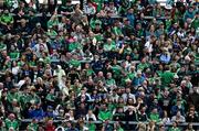 8 May 2022; Limerick supporters before the Munster GAA Hurling Senior Championship Round 3 match between Limerick and Tipperary at TUS Gaelic Grounds in Limerick. Photo by Ray McManus/Sportsfile