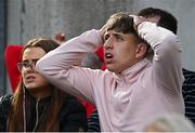 7 May 2022; A Munster supporter watches on late in the Heineken Champions Cup Quarter-Final match between Munster and Toulouse at Aviva Stadium in Dublin. Photo by Ramsey Cardy/Sportsfile