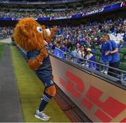 14 May 2022; Leo the Lion with supporters before the Heineken Champions Cup Semi-Final match between Leinster and Toulouse at the Aviva Stadium in Dublin. Photo by Harry Murphy/Sportsfile