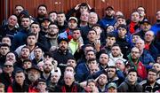 23 May 2022; Bohemians supporters during the SSE Airtricity League Premier Division match between St Patrick's Athletic and Bohemians at Richmond Park in Dublin. Photo by Piaras Ó Mídheach/Sportsfile
