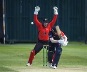28 May 2022; PJ Moor of Munster Reds appeals for LBW during the Cricket Ireland Inter-Provincial Trophy match between Munster Reds and Northern Knights at North Down Cricket Club in Comber, Down. Photo by George Tewkesbury/Sportsfile