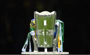 5 June 2022; The Mick Mackey cup before the Munster GAA Hurling Senior Championship Final match between Limerick and Clare at FBD Semple Stadium in Thurles, Tipperary. Photo by Brendan Moran/Sportsfile