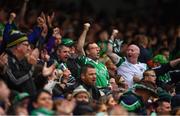 5 June 2022; Limerick supporters celebrate a score during the Munster GAA Hurling Senior Championship Final match between Limerick and Clare at Semple Stadium in Thurles, Tipperary. Photo by Ray McManus/Sportsfile