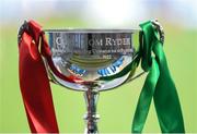 8 June 2022; The Tom Ryder cup at the Allianz Cumann na mBunscoil Hurling Finals in Croke Park, Dublin. Over 2,800 schools and 200,000 students are set to compete in the primary schools competition this year with finals taking place across the country. Allianz and Cumann na mBunscol are also gifting 500 footballs, 200 hurleys and 200 sliotars to schools across the country to welcome Ukrainian students into our national games and local communities. Photo by Piaras Ó Mídheach/Sportsfile