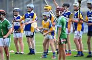 8 June 2022; Scoil Treasa, Firhouse, goalkeeper TJ Vaughan during the Corn Sean O Rinn final against Scoil Naithí during the Allianz Cumann na mBunscoil Hurling Finals in Croke Park, Dublin. Over 2,800 schools and 200,000 students are set to compete in the primary schools competition this year with finals taking place across the country. Allianz and Cumann na mBunscol are also gifting 500 footballs, 200 hurleys and 200 sliotars to schools across the country to welcome Ukrainian students into our national games and local communities. Photo by Piaras Ó Mídheach/Sportsfile