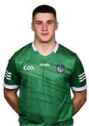 14 June 2022; Adam English during a Limerick hurling squad portrait session at TUS Gaelic Grounds in Limerick. Photo by David Fitzgerald/Sportsfile