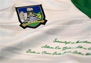 14 June 2022; A detailed view of the jersey during a Limerick hurling squad portrait session at TUS Gaelic Grounds in Limerick. Photo by David Fitzgerald/Sportsfile