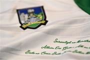 14 June 2022; A detailed view of the jersey during a Limerick hurling squad portrait session at TUS Gaelic Grounds in Limerick. Photo by David Fitzgerald/Sportsfile