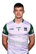 14 June 2022; David McCarthy during a Limerick hurling squad portrait session at TUS Gaelic Grounds in Limerick. Photo by David Fitzgerald/Sportsfile