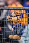 18 June 2022; A Clare teddy watches on during the GAA Hurling All-Ireland Senior Championship Quarter-Final match between Clare and Wexford at the FBD Semple Stadium in Thurles, Tipperary. Photo by Daire Brennan/Sportsfile