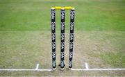 26 June 2022; A view of the stumps before the LevelUp11 First Men's T20 International match between Ireland and India at Malahide Cricket Club in Dublin. Photo by Ramsey Cardy/Sportsfile