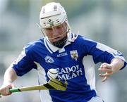 2 May 2004; Tommy Fitzgerald, Laois. Guinness Leinster Senior Hurling Championship, Carlow v Laois, Dr. Cullen Park, Carlow. Picture credit; Matt Browne / SPORTSFILE