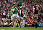 3 July 2022; Seán Finn of Limerick during the GAA Hurling All-Ireland Senior Championship Semi-Final match between Limerick and Galway at Croke Park in Dublin. Photo by Piaras Ó Mídheach/Sportsfile