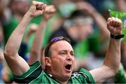 3 July 2022; A supporter during the GAA Hurling All-Ireland Senior Championship Semi-Final match between Limerick and Galway at Croke Park in Dublin. Photo by Piaras Ó Mídheach/Sportsfile