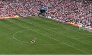 9 July 2022; Damien Comer of Galway scores his side's second goal during the GAA Football All-Ireland Senior Championship Semi-Final match between Derry and Galway at Croke Park in Dublin. Photo by Daire Brennan/Sportsfile