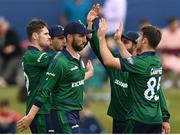 12 July 2022; Curtis Campher of Ireland, right, celebrates with teammates after taking the wicket of Finn Allen of New Zealand, not pictured, during the Men's One Day International match between Ireland and New Zealand at Malahide Cricket Club in Dublin. Photo by Harry Murphy/Sportsfile