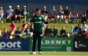 12 July 2022; Josh Little of Ireland appeals to the umpire during the Men's One Day International match between Ireland and New Zealand at Malahide Cricket Club in Dublin. Photo by Harry Murphy/Sportsfile