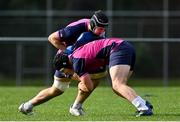 14 July 2022; Caelan Doris, left, and Dan Sheehan during Ireland rugby squad training at Jerry Collins Stadium in Porirua, New Zealand. Photo by Brendan Moran/Sportsfile