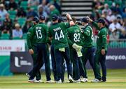 15 July 2022; Josh Little of Ireland, 82, is congratulated by teammates after taking the wicket of New Zealand's Finn Allen during the Men's One Day International match between Ireland and New Zealand at Malahide Cricket Club in Dublin. Photo by Seb Daly/Sportsfile