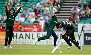 15 July 2022; Curtis Campher of Ireland, centre, appeals celebrates running out Will Young of New Zealand during the Men's One Day International match between Ireland and New Zealand at Malahide Cricket Club in Dublin. Photo by Seb Daly/Sportsfile