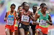 16 July 2022; Hellen Obiri of Kenya, centre, competes in the women's 10,000m final during day two of the World Athletics Championships at Hayward Field in Eugene, Oregon, USA. Photo by Sam Barnes/Sportsfile