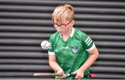 17 July 2022; Limerick supporter Cian Coleman, aged 6, from Doon, Co Limerick, ahead of the GAA Hurling All-Ireland Senior Championship Final match between Kilkenny and Limerick at Croke Park in Dublin. Photo by Daire Brennan/Sportsfile