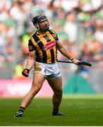 17 July 2022; Richie Hogan of Kilkenny celebrates after scoring a point during the GAA Hurling All-Ireland Senior Championship Final match between Kilkenny and Limerick at Croke Park in Dublin. Photo by Eóin Noonan/Sportsfile