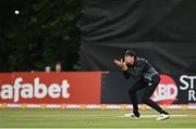 20 July 2022; Mitchell Santner of New Zealand takes the wicket of Ireland's Paul Stirling during the Men's T20 International match between Ireland and New Zealand at Stormont in Belfast. Photo by Seb Daly/Sportsfile