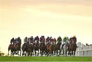 27 July 2022; A view of the field during the Tote Galway Plate on day three of the Galway Races Summer Festival at Ballybrit Racecourse in Galway. Photo by Seb Daly/Sportsfile