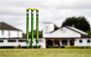 28 July 2022; A general view of the stumps before the Cricket Ireland Inter-Provincial Trophy match between Munster Reds and Northern Knights at Pembroke Cricket Club in Dublin. Photo by Sam Barnes/Sportsfile