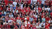 28 July 2022; Sligo Rovers supporters look on during the UEFA Europa Conference League 2022/23 Second Qualifying Round First Leg match between Sligo Rovers and Motherwell at The Showgrounds in Sligo. Photo by David Fitzgerald/Sportsfile